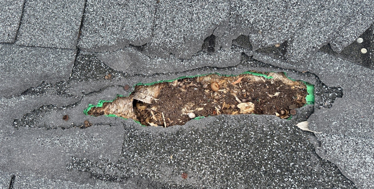 Roof Maintenance Checklist Every Homeowner Should Follow