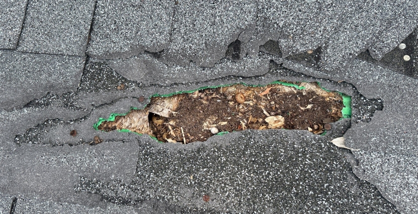 Roof Maintenance Checklist Every Homeowner Should Follow